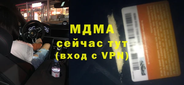 гашик Алексин
