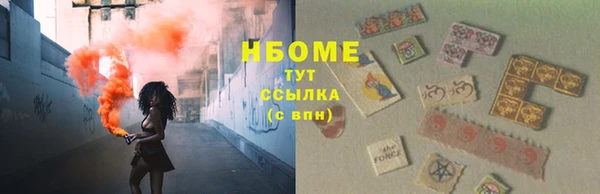 гашик Алексин