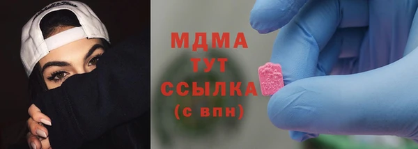 гашик Алексин