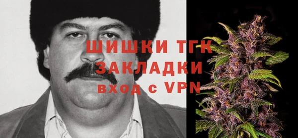 гашик Алексин