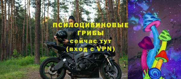 гашик Алексин